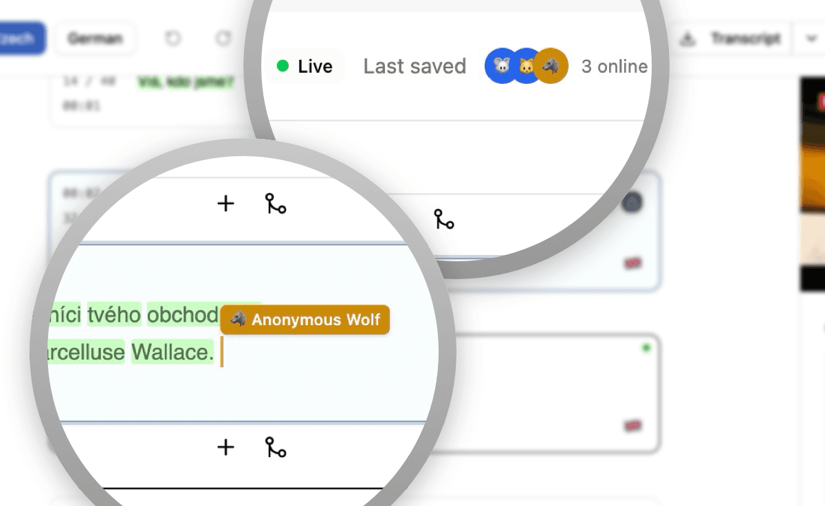 Collaborative Professional Interface